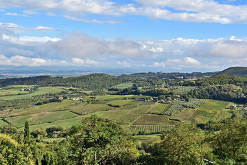 Naklejka premium Montepulciano, veduta della valle dalla Chiesa o Santuario della Madonna di San Biagio, Val d'Orcia, Toscana