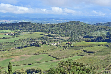 Naklejka premium Montepulciano, veduta della valle dalla Chiesa o Santuario della Madonna di San Biagio, Val d'Orcia, Toscana
