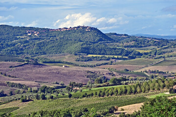 Naklejka premium Montepulciano, veduta della valle dalla Chiesa o Santuario della Madonna di San Biagio, Val d'Orcia, Toscana