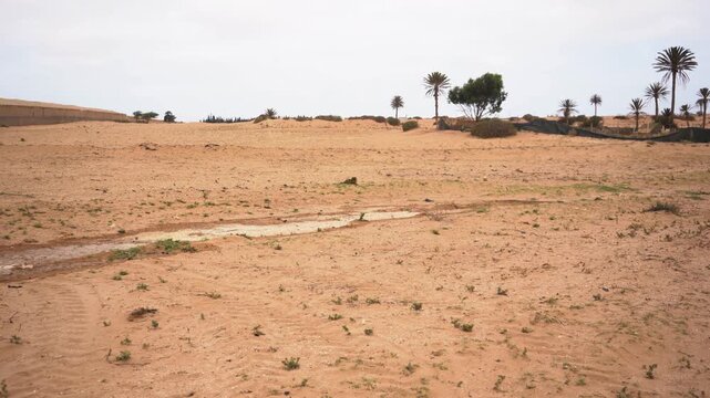 A cinematic panning shot across a dry, sandy Moroccan desert landscape under a soft overcast sky. The footage reveals long commercial agricultural greenhouses built directly on the arid terrain.