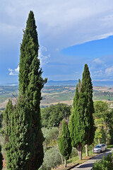 Naklejka premium Pienza, le colline della Val d'Orcia dalla loggia di Palazzo Piccolomini, Val d'Orcia, Toscana