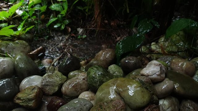 Fresh Puddle