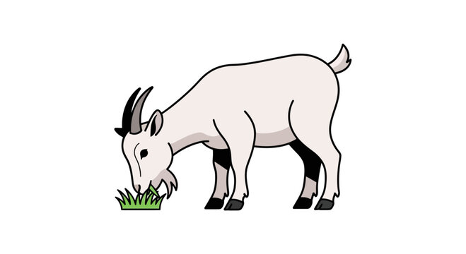 A white goat with black horns and hooves eating green grass in a cartoon style on a white background, depicting a rural farm scene with a single animal grazing peacefully.