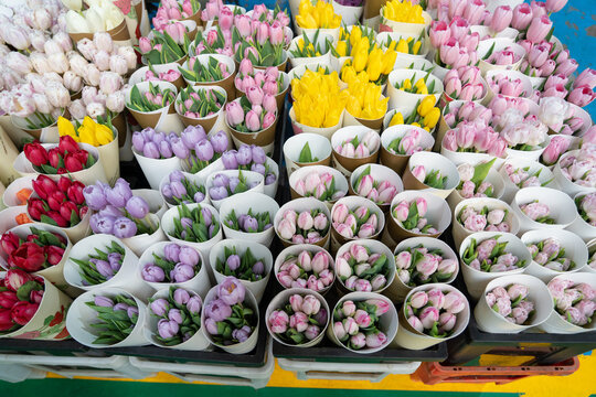 Colorful tulip bouquets in paper wraps at market stall