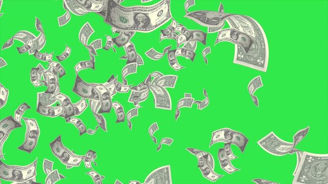 Hundred of Dollar bills banknotes fall down slowly animation on Green Screen. 3d Render.