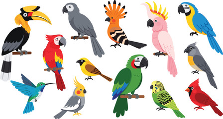 Tropical and exotic birds vector collection featuring macaw parrot cockatoo hornbill hummingbird hoopoe cardinal and parakeet for nature wildlife and zoo design. © Aminul