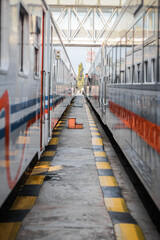 Fototapeta premium Symmetrical view between two passenger trains at a railway station platform.