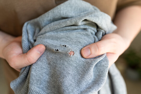 Hands holding worn gray clothing with holes in fabric, close up indoor scene. Concept of fast fashion waste, damaged clothes, textile recycling, poverty or sustainable consumption.
