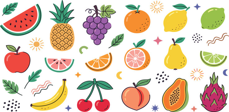 Fresh tropical and seasonal fruit collection with watermelon pineapple grapes apple orange dragon fruit vector