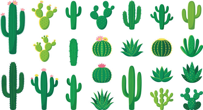 Large vector collection of diverse green cactus and succulent plants with flowers in flat design style isolated on white background for desert nature projects.