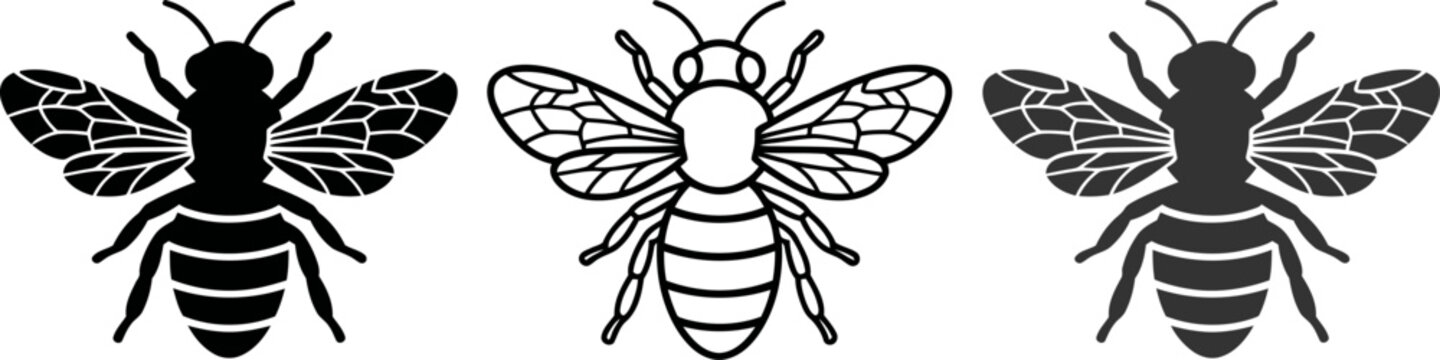 Three different bee illustrations in black and white
