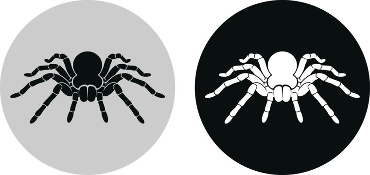 Spider icon, a graphic illustration of a spider in a circle