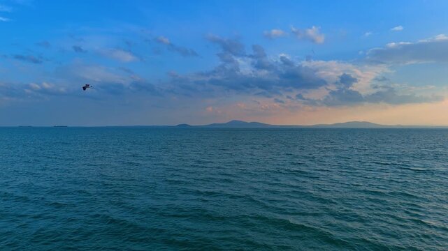 Wide seascape with flying bird and distant mountains under blue sky. Horizontal view of calm sea water with a single bird and mountain silhouette on the horizon.