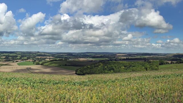 View from Hiking trail in Dorset UK . Dorset National landscape 