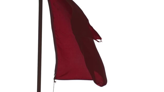 Red flag of Turkey displaying white crescent moon and star gently waves on flagpole against clean isolated white background representing national identity and patriotism. Slow motion 4x