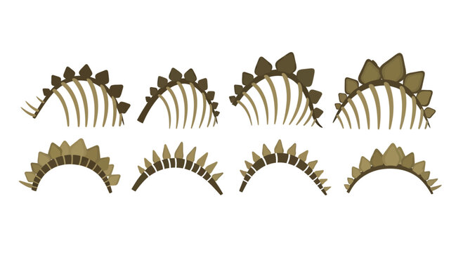 Dinosaur Stegosaurus Plates Set, Skeleton Elements Collection, Prehistoric Animal Anatomy
