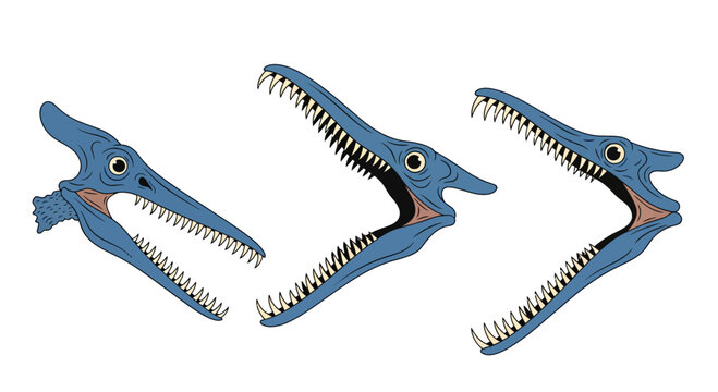 Three blue pterodactyl skulls with open jaws and sharp teeth, prehistoric creatures