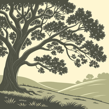 Vintage oak tree landscape vector, retro woodcut style nature illustration, old gnarled tree on rolling hills, rustic countryside scenery