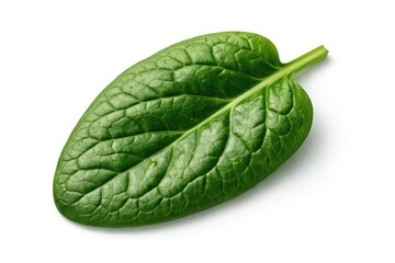 Obraz premium Spinach leaf texture close up isolated on pristine white background