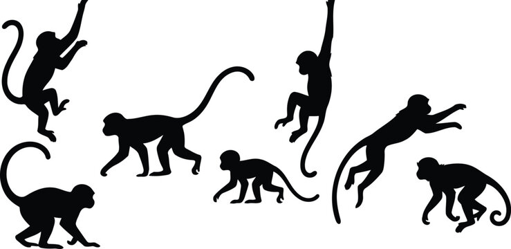 Monkey Silhouette Set Vector Illustration of Primates in Various Poses Climbing Jumping and Walking