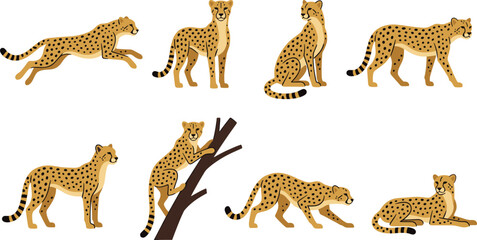 PrintVector illustration set of cheetahs in various poses including running standing sitting and climbing for design © Ruma