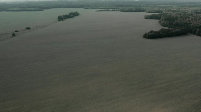 Drone footage of expansive farmland with small tree islands and a dense forest border under overcast sky, filmed in the Ural region, Russia