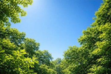 Fototapeta premium Vivid blue sky above lush green forest leaves with copy space
