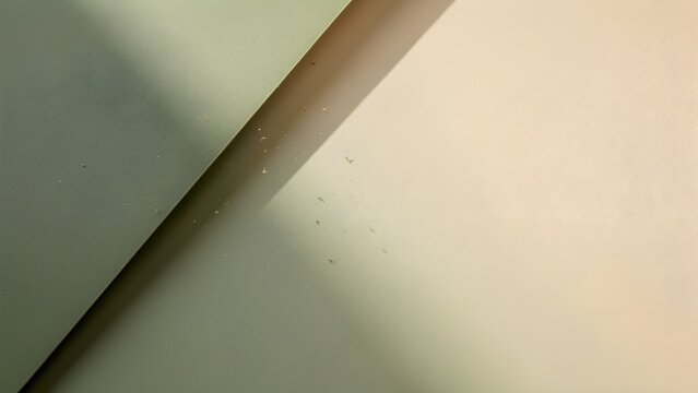 This abstract minimalist image shows small gnats dancing in the light between two textured surfaces.
