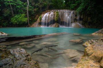 A turquoise waterfall cascades down in layers in the middle of the forest. © Pongsorn