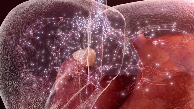 Drug molecules target and treat cirrhosis, hepatitis, and liver damage. 3D animation visualizing hepatic therapy and tissue repair.