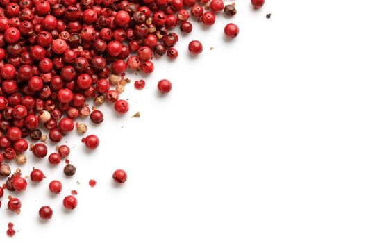Pink and red peppercorns isolated on white background showing copy space for text labeling