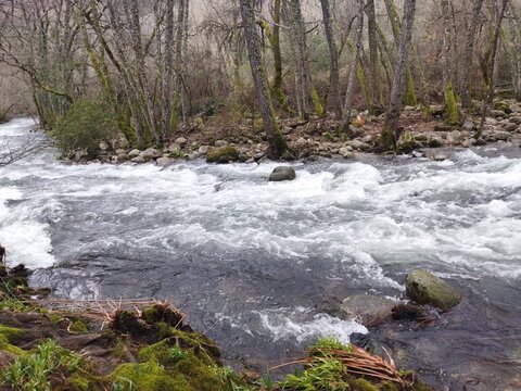 R&iacute;o de monta&ntilde;a con corriente r&aacute;pida y rocas en bosque de invierno