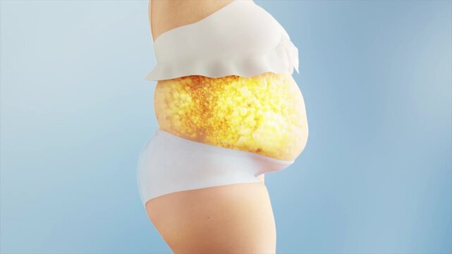 Woman loses weight by burning fat, reducing belly fat. Before and after weight loss, an obese person becomes slimmer through fitness and body shaping. Body management solution in 3D animation.