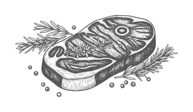 Hand drawn raw beef steak with rosemary and peppercorns meat