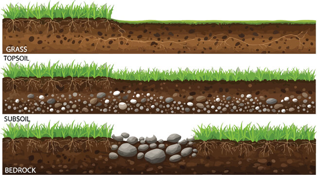 Soil layers cross-section illustration Vector
