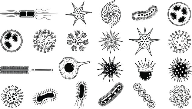 Black and white microscopic organisms illustration Vector