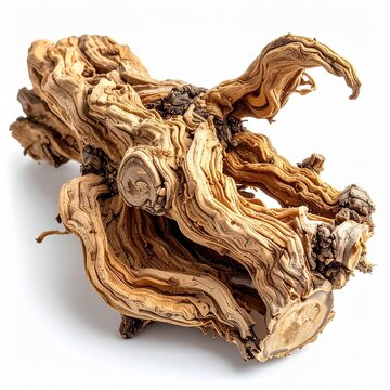 Devil&rsquo;s Claw (Harpagophytum procumbens) &ndash; Natural, isolated 