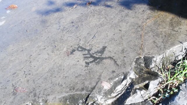 rock art, primitive graffitti, graffitti, camuni, prehistoric graffitti, Italy, camuni, preistoric, primitive, Rock Drawings, rock graffiti, petroglyphs,