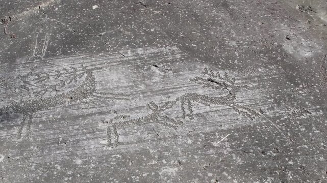 rock art, primitive graffitti, graffitti, camuni, prehistoric graffitti, Italy, camuni, preistoric, primitive, Rock Drawings, rock graffiti, petroglyphs,