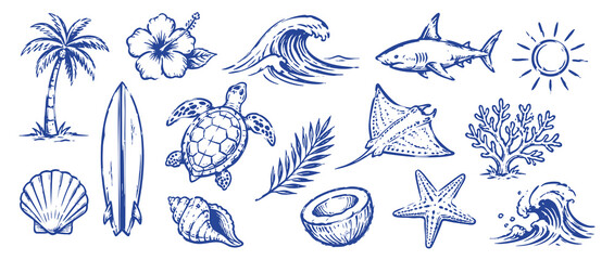 Collection of hand drawn beach and tropical summer icons including palm tree, surfboard, sea turtle, shark, starfish, shells, and waves, isolated on white background. © Zbrake Studio