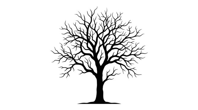 Black silhouette of a bare deciduous tree isolated on white background.