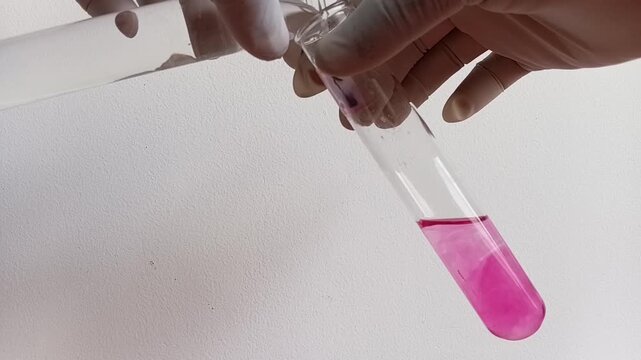 Pouring Chlorinated Water Into A Test Tube Showing A Beautiful Purple Color Change Reaction With DPD Reagent In Hand