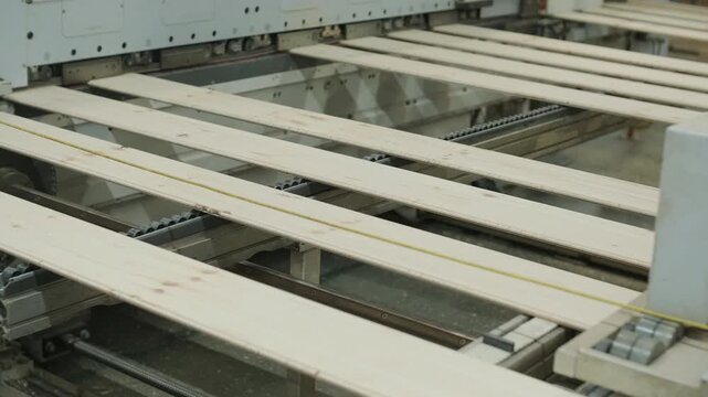 Close-up of human hands applying wood filler to cracks and holes in boards moving on a conveyor for restoration