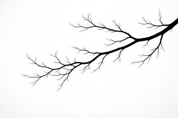 Obraz premium Stylized black branch silhouette against pure white background with copy space