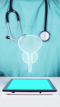 Doctor uses digital tablet for urology diagnosis and early detection of prostate cancer with prostate gland and bladder icons in neon green. Evaluation of prostatitis and hyperplasia