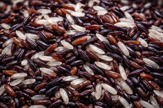 Thai Riceberry grains combining Jao Hom Nin and Khoa Dawk Mali 105 shown on white