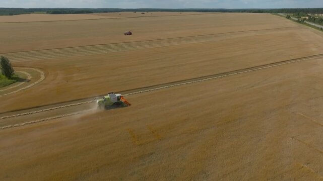 Drone footage of a combine harvester harvesting a vast wheat field on a sunny day, agricultural machinery raising dust across farmland in the Ural, Russia