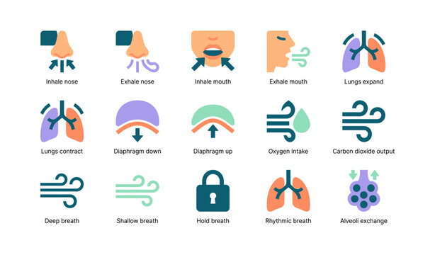 Lungs and breathing steps shown as icons in a grid
