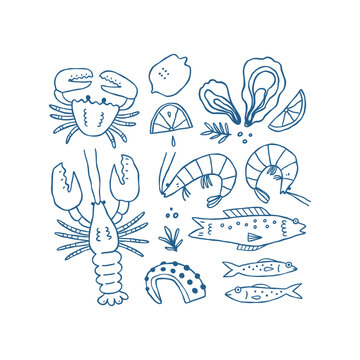 Hand Drawn Seafood Illustration Set