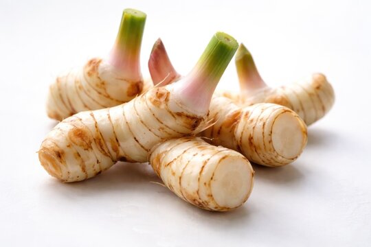 Close up of fresh galangal with smooth white surface behind